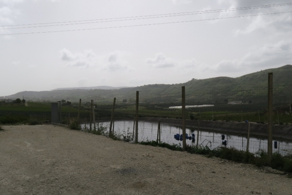 img-2473F527C8E5-C855-95E7-6038-7DE643B4C025.jpg