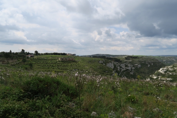 giorno5-6447118723-D158-EA76-DEB8-30FD2C21AC65.jpg