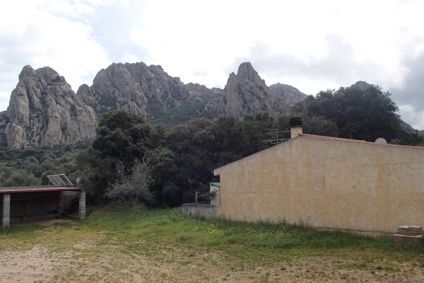 sardegna-2013132A9D38D33-CA5A-F0A9-2CD9-82722B05A342.jpg