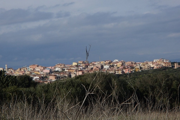 sardegna-2013192646C5CE5-B424-FC7A-5634-C841E7D3E89A.jpg