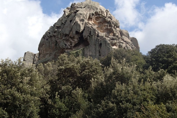 sardegna-20137278F5A963-4A50-3BE9-EFA3-D705DE749865.jpg